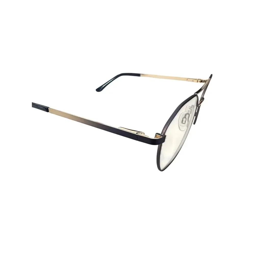 NEW Exces 3179 blue and gold double bag pilot Eyeglasses
